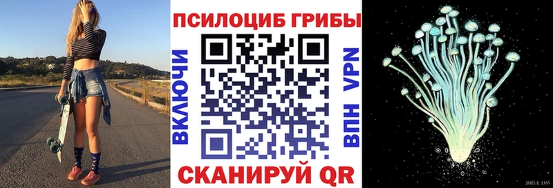 Галлюциногенные грибы Psilocybe Киренск
