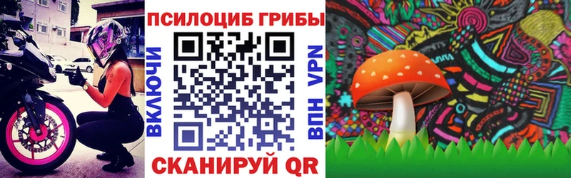 Галлюциногенные грибы Psilocybine cubensis  Купить  Киренск 